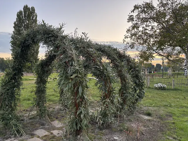 "Passage – Ein Landart Weidenobjekt" von Susanne Karl rahmt den Blick auf Edgar Tezaks Geschichtenerzählerin ein. | Foto: Michael Marbacher/MeinBezirk