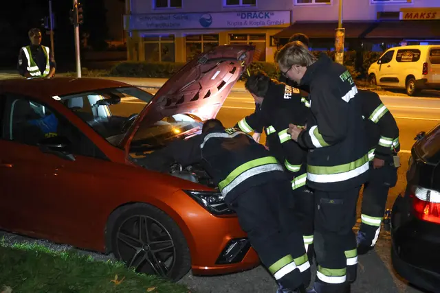 Die Freiwillige Feuerwehr schaffte es, die Babykatze aus dem Motorraum eines geparkten Autos in Wels-Lichtenegg zu befreien. | Foto: laumat.at
