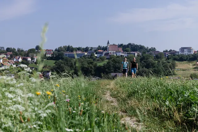 Bad Kreuzen ist das erste zertifizierte Wanderdorf in Oberösterreich. | Foto: Tourismusverband Donau OÖ/Sintwerk GmbH