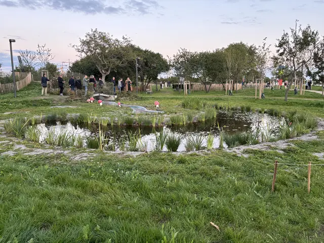 Der "Märchenbach" von Peter Pongratz. | Foto: Michael Marbacher/MeinBezirk