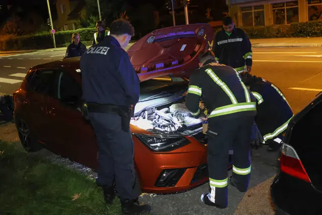Die Freiwillige Feuerwehr schaffte es, die Babykatze aus dem Motorraum eines geparkten Autos in Wels-Lichtenegg zu befreien. | Foto: laumat.at