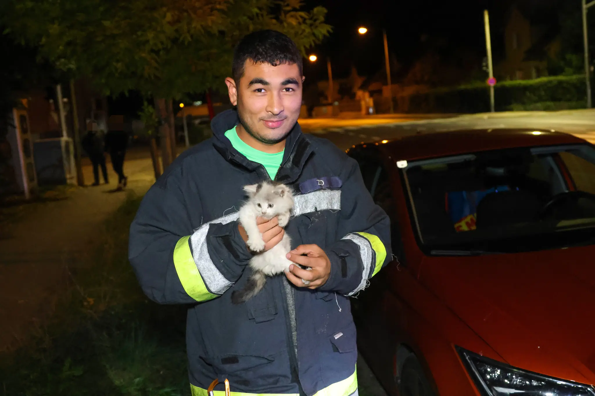 Nighttime operation in Wels-Lichtenegg: Baby cat freed from the engine ...
