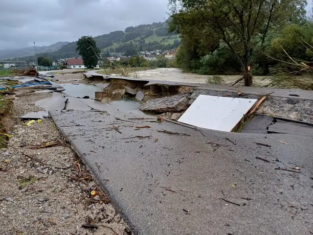 Beim Hochwasser 2024 war unter anderen der NÖ Straßendienst gefordert. | Foto: NÖ Straßendienst