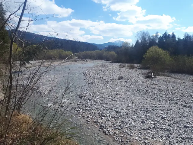 Der Tauglfluss fasziniert immer wieder. | Foto: Josef Wind