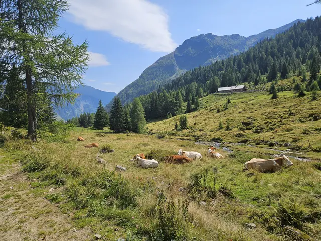 Foto: Juliane Lankmayer