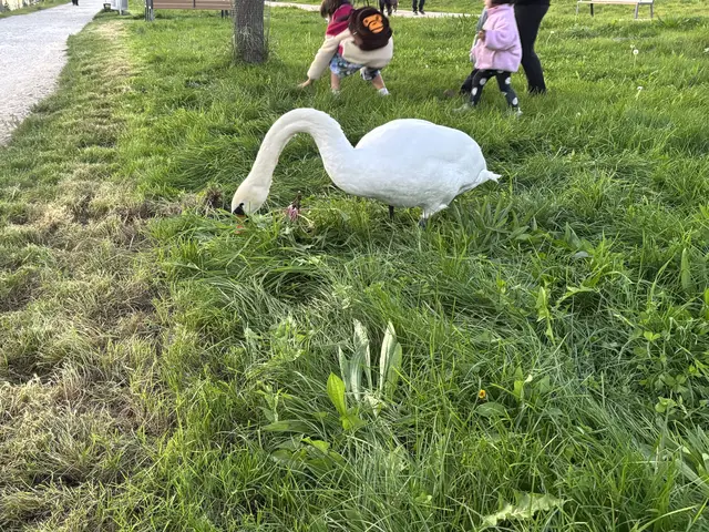 Auch die Tierwelt fand Freude am neuen Park. | Foto: Michael Marbacher/MeinBezirk