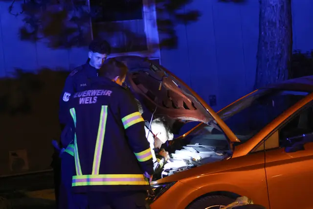 Die Freiwillige Feuerwehr schaffte es, die Babykatze aus dem Motorraum eines geparkten Autos in Wels-Lichtenegg zu befreien. | Foto: laumat.at