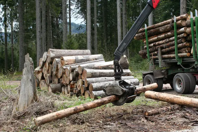 Der Mann sei von einem in Bewegung geratenen Stamm zu Boden gerissen worden. (Symbolfoto) | Foto: stock.adobe.com/at/SINNBILD Design 00:18 4K HD