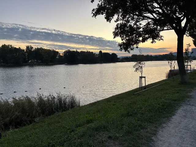 Der Park liegt direkt am Wasser. | Foto: Michael Marbacher/MeinBezirk