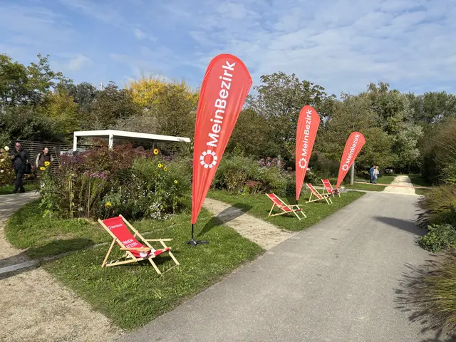 Foto: Sandra Schütz
