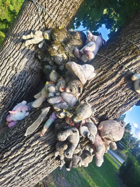 Foto: Verein Wandelstern