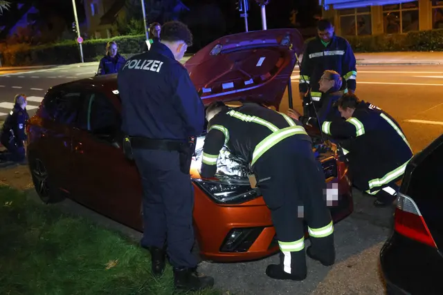 Die Freiwillige Feuerwehr schaffte es, die Babykatze aus dem Motorraum eines geparkten Autos in Wels-Lichtenegg zu befreien. | Foto: laumat.at