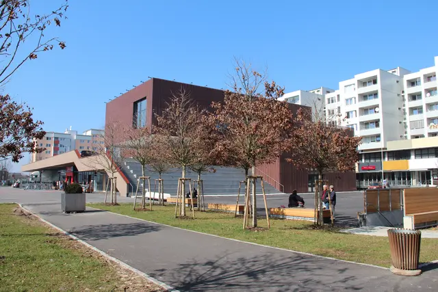 Im Ansfeldner Rathaus wurde über die Schulentwicklung in Ansfelden diskutiert. | Foto: Stadtgemeinde Ansfelden