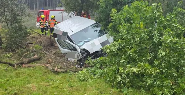 Dienstagfrüh kam ein Kleintransporter aus bislang ungeklärter Ursache auf der B116 zwischen Auwald und Hinterberg von der Fahrbahn ab und stürzte eine Böschung hinunter.
 | Foto: FF Leoben-Stadt