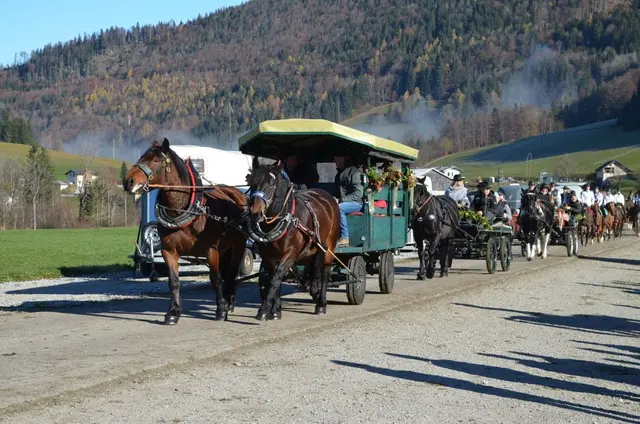 In den vergangenen Jahren kamen rund 70 Pferde aus Faistenau und Umgebung zu der Traditionsveranstaltung. | Foto: Pferdezuchtverein und Tourismusbüro Faistenau