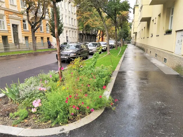 Aktuell stehen die Bäume der Alsegger Allee in breiten Grünstreifen. | Foto: BV18