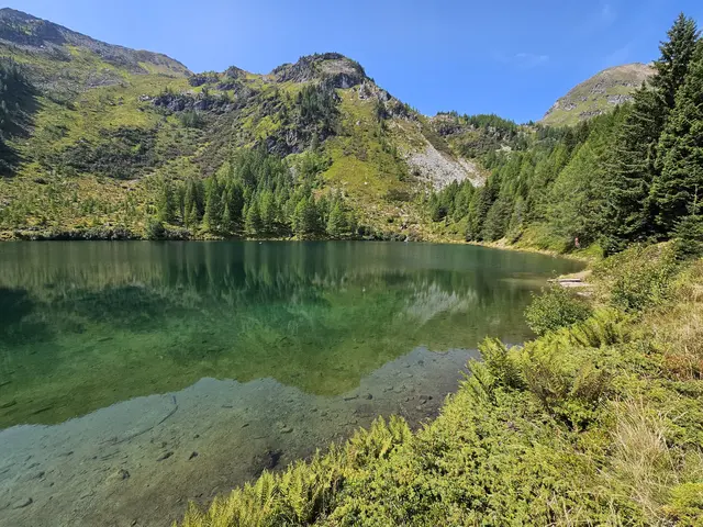 Wirpitschsee | Foto: Juliane Lankmayer