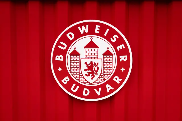 Foto: Emanuel Ullmann/MeinBezirk