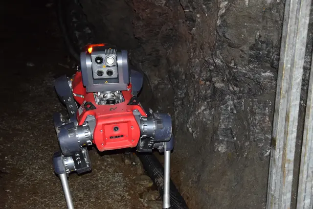 Foto: MeinBezirk / Leonie Herrmann