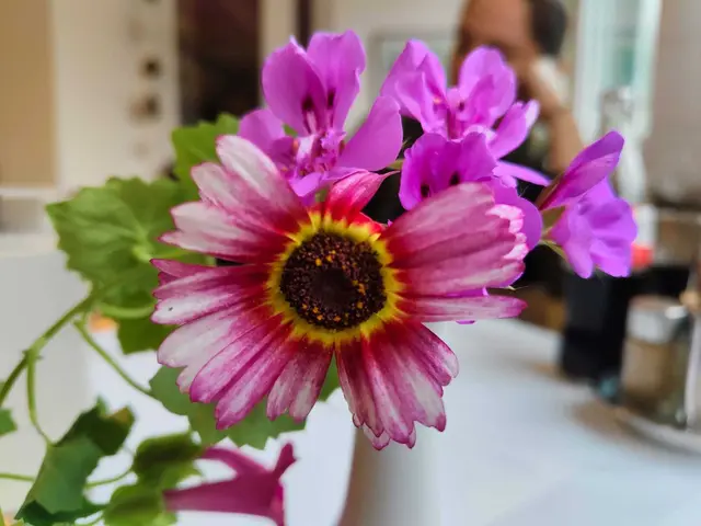 Auch die Redaktion gratuliert herzlich. | Foto: Sadiki-Peckary