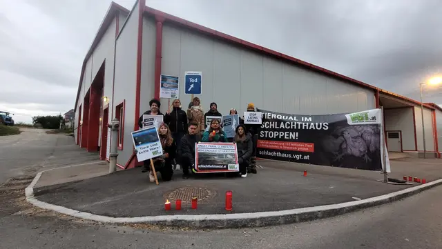 Vor dem Schweine-Schlachthof Dachsberger in Gauderndorf hielten Tierschützer vor dem Welttierschutztag eine Mahnwache ab. | Foto: VGT.at