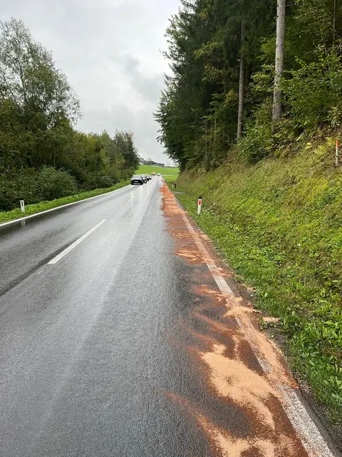 Nicht nur ein Motorschaden, sondern auch ein weiterer Verursacher sorgten für eine lange Ölspur. | Foto: FF Krems