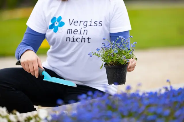 "Vermissmeinnicht" ist eine gemeinnützige Initiative (Symbolbild). | Foto: Ludwig Schedl