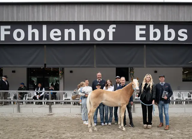 Das Stutfohlen Faya von der Züchterfamilie Helmut Penz aus Steinach erzielte den Spitzenpreis von 20.000 Euro netto. | Foto: Fohlenhof Ebbs / Anita Baumgartner