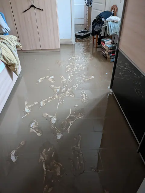 Bilder wie diese, haben sich in die Köpfe gebrannt. | Foto: Ingrid Blaha