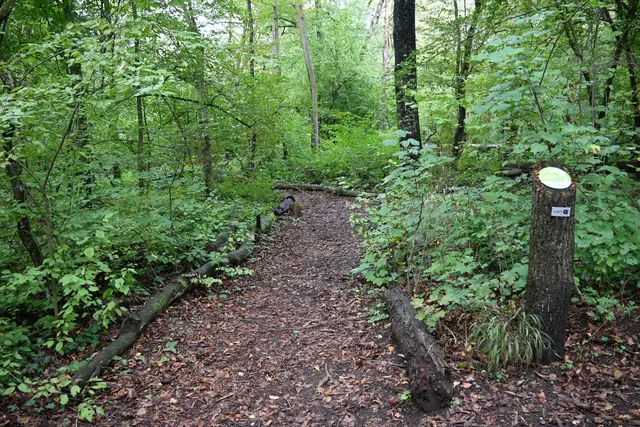 Weg zweigt ab zu Energieplatz