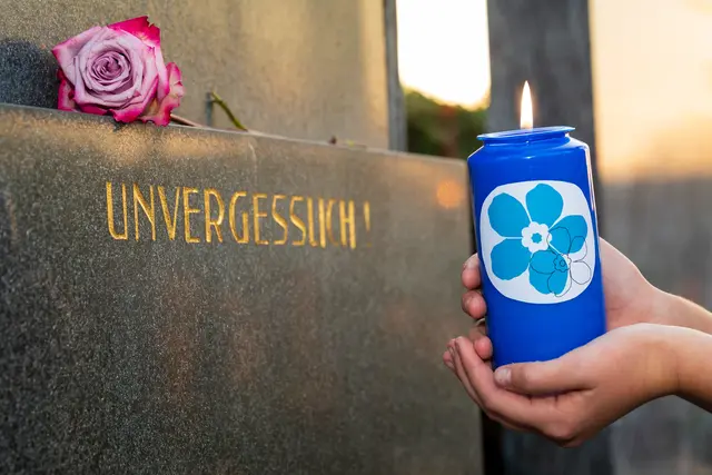 Foto: Ludwig Schedl.