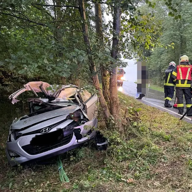Die Person prallte mit der Fahrerseite gegen einen Baum. | Foto: FF Mettmach