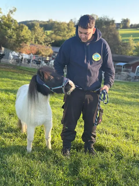 Helene lebt am Tierschutzhof Pfotenhilfe nun in Sicherheit und Fürsorge. | Foto: Pfotenhilfe