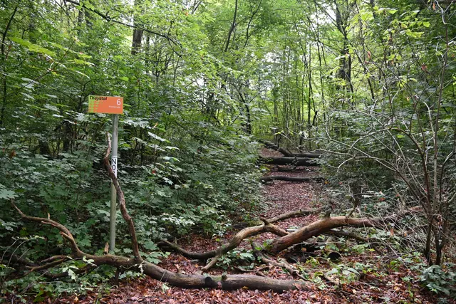 Der Weg ist gesperrt