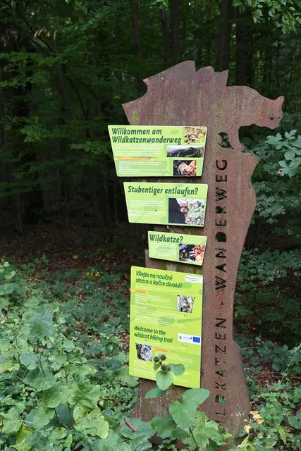 Nach links geht Wanderweg weiter, ich gehe aber rechts zurück zum Nationalparkhaus
