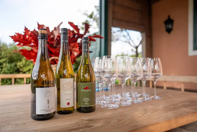 Foto: Valentina Marinelic/MeinBezirk