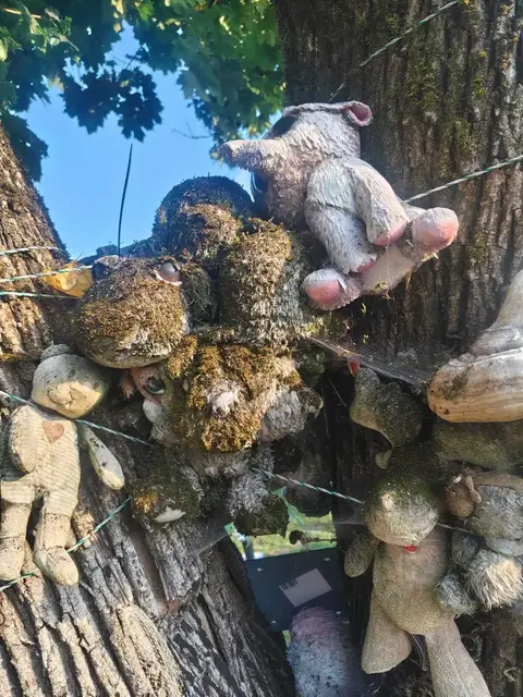 Foto: Verein Wandelstern