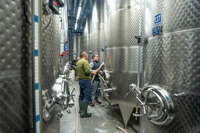 Foto: Valentina Marinelic/MeinBezirk