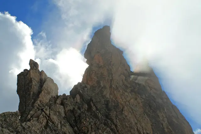 Foto: Johann Stehrer