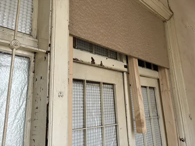 Mit allen Mitteln wird versucht, aufgebrochene Türen zu verschließen – immer wieder finden Personen Möglichkeiten, die Türen zu öffnen. | Foto: Nathanael Peterlini/MeinBezirk