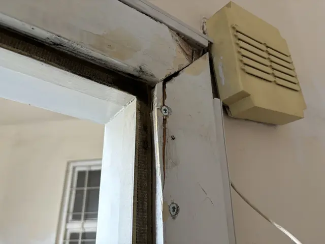 Die Tür der Frau wurde zweimal eingetreten. Die Spuren sieht man noch immer. | Foto: Nathanael Peterlini/MeinBezirk