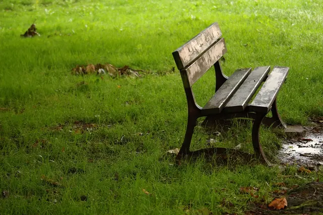 Der Pechepark in Innsbruck ist seit Jahren ein Ort, an dem Drogenhandel und Kriminalität gemeldet werden. Kürzlich machte ein Fall Schlagzeilen, bei dem ein Kind durch eine zurückgelassene Spritze verletzt wurde. | Foto: pixabay/josedemanuela (Symbolbild)