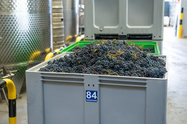 Foto: Valentina Marinelic/MeinBezirk