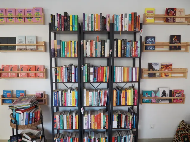 Bei "bibliobox" gibt es die unterschiedlichsten Bücher zu kaufen. | Foto: Julia Gaiswinkler