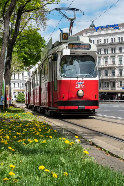 Linie D Type E2-c5 beim Schottentor. (Archiv) | Foto: Wiener Linien/Manfred Helmer