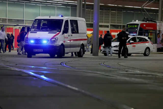 Foto: TOBIAS STEINMAURER / APA / picturedesk.com