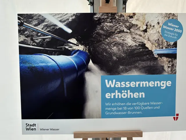 Foto: Kevin Gleichweit/MeinBezirk