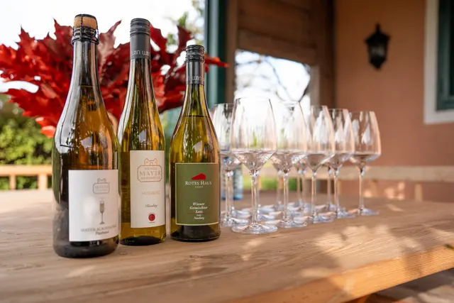 Foto: Valentina Marinelic/MeinBezirk