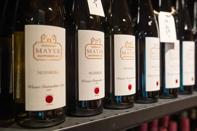 Foto: Valentina Marinelic/MeinBezirk