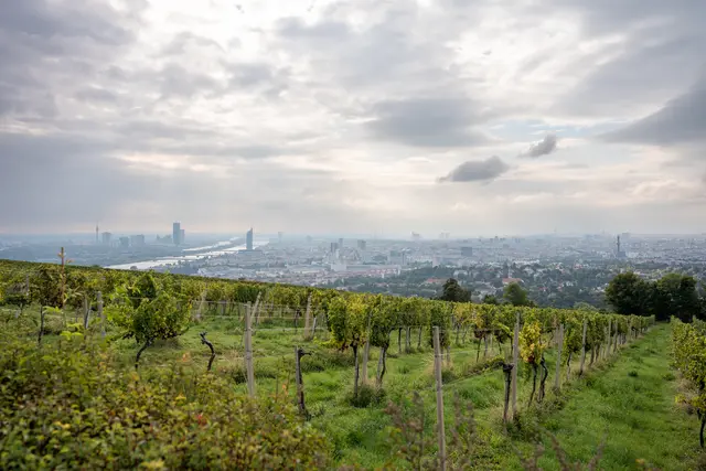 Foto: Valentina Marinelic/MeinBezirk